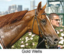 Gold Wells (16411 bytes)