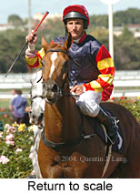 Return to scale (15384 bytes)