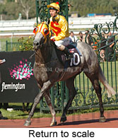 Return to scale (16997 bytes)