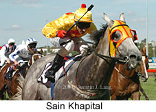 Sain Khapital (17008 bytes)