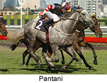 Pantani (16349 bytes)