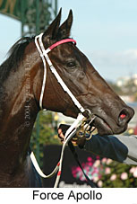 Force Apollo (13128 bytes)