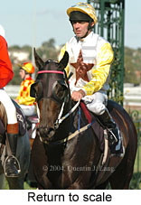 Return to scale (15467 bytes)