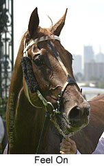 Feel On (11527 bytes)