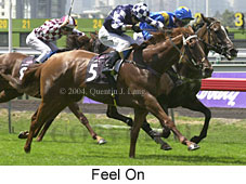 Feel On (17932 bytes)