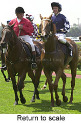 Return to scale (16172 bytes)