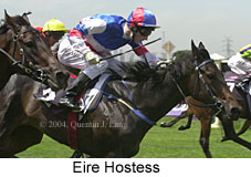 Eire Hostess (14323 bytes)