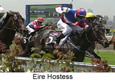 Eire Hostess (15935 bytes)