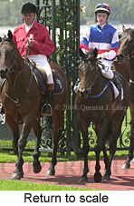 Return to scale (16456 bytes)