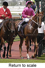 Return to scale (16151 bytes)