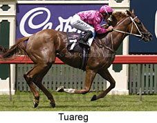 Tuareg (17684 bytes)