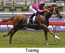 Tuareg (16340 bytes)