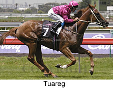 Tuareg (17598 bytes)