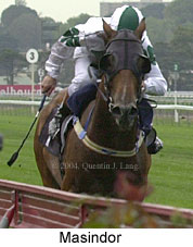 Masindor (14307 bytes)