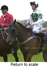 Return to scale (12456 bytes)