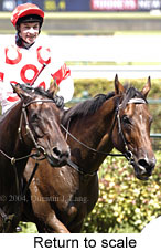 Return to scale (15768 bytes)