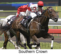 Southern Crown (16985 bytes)