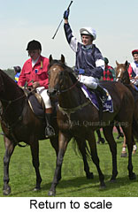 Return to scale (14038 bytes)