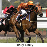 Rinky Dink (17096 bytes)