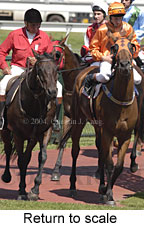 Return to scale (16149 bytes)