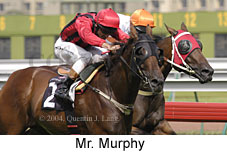 Mr. Murphy (14186 bytes)