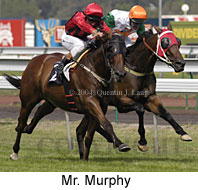 Mr. Murphy (16374 bytes)