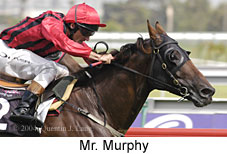 Mr. Murphy (14332 bytes)