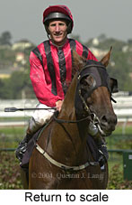 Return to scale (12065 bytes)