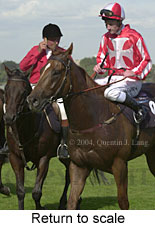 Return to scale (13657 bytes)