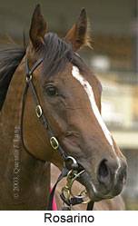 Rosarino (10663 bytes)