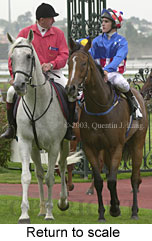 Return to scale (15668 bytes)