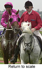 Return to scale (14713 bytes)