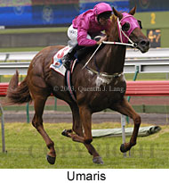 Umaris (15586 bytes)