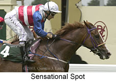 Sensational Spot (13512 bytes)