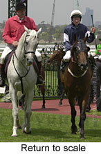 Return to scale (13838 bytes)