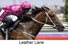 Leather Lane (14414 bytes)