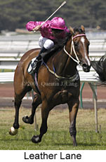 Leather Lane (14009 bytes)