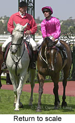 Return to scale (15463 bytes)