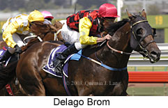 Delago Brom (16319 bytes)