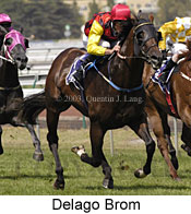 Delago Brom (16319 bytes)