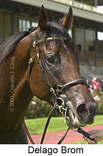 Delago Brom (12776 bytes)