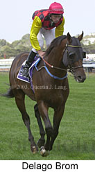 Delago Brom (12309 bytes)