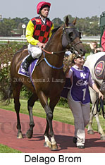 Delago Brom (16231 bytes)