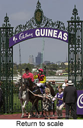 Return to scale (18490 bytes)