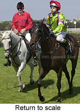 Return to scale (15848 bytes)