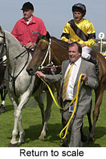 Return to scale (16168 bytes)