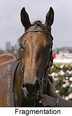 Fragmentation (9999 bytes)