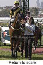 Return to scale (14841 bytes)