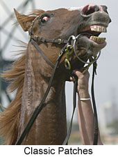 Classic Patches (12782 bytes)