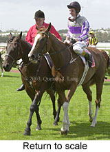 Return to scale (14777 bytes)